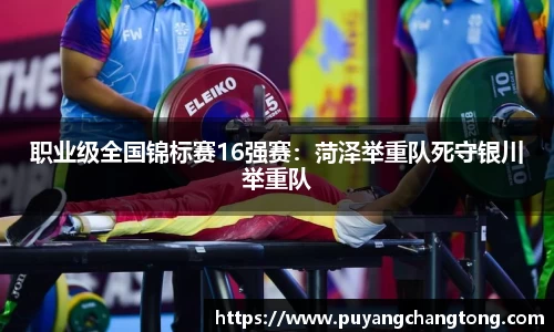 职业级全国锦标赛16强赛：菏泽举重队死守银川举重队